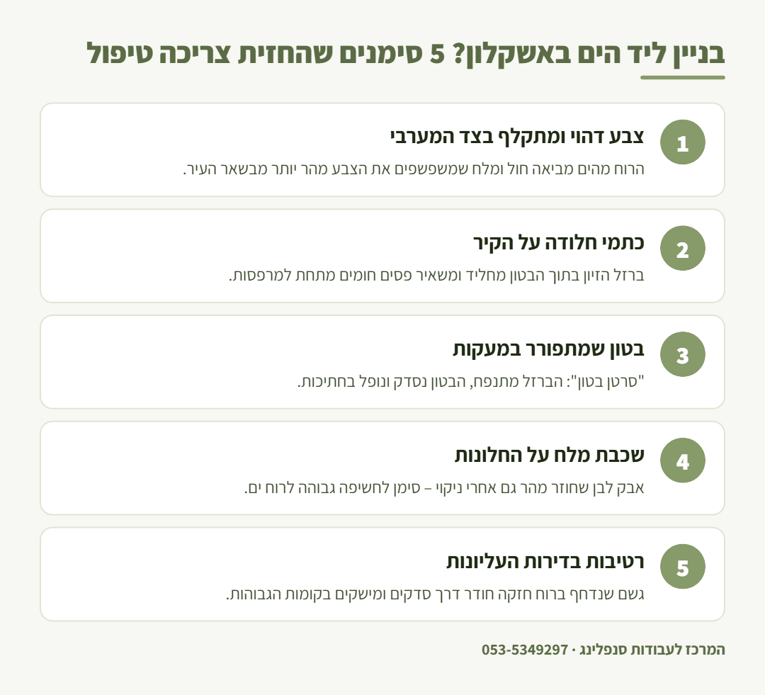 אינפוגרפיקה: חמישה סימנים שהחזית של בניין ליד הים באשקלון צריכה טיפול